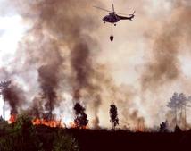 incendios.jpg